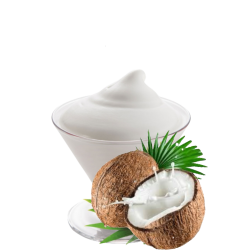 Crema inghetata nuca cocos