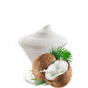 coconut ice cream