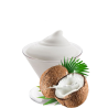 Crema inghetata nuca cocos